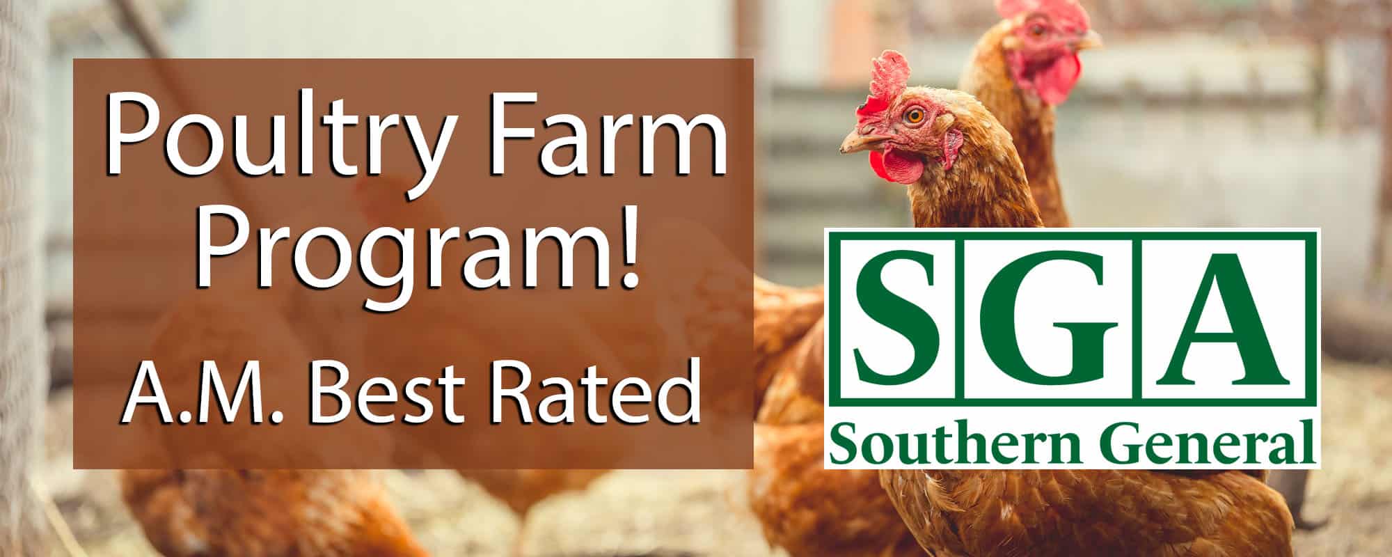 Featured image for “Poultry Farm Program!”